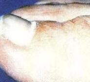 ϽʪרҽԺ͹ʪݡʪйϵ